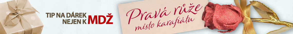 Tip na dárek nejen k MDŽ - místo karafiátu pravá růže zušlechtěná ryzím zlatem a rubínovým práškem