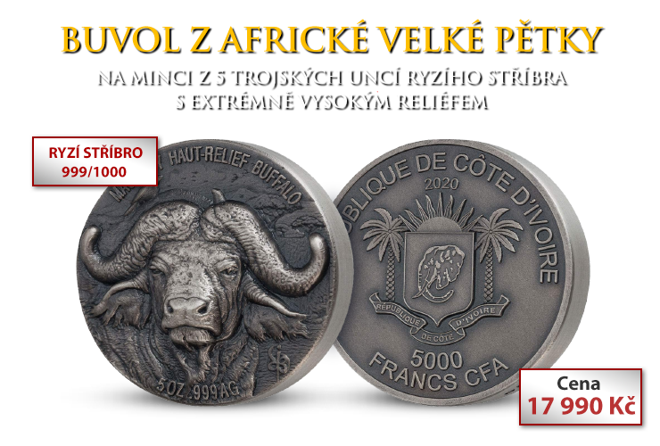 Buvol z africké Velké pětky