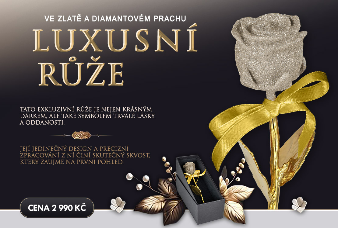 Pravá čajová růže Champagne