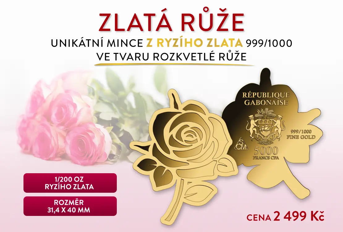 Růže z ryz&iacute;ho zlata