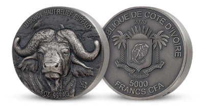 Africký buvol -  nejobávanější představitel Velké pětky na 5uncové stříbrné minci