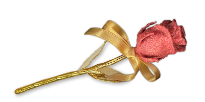Pravá čajová růže ryzím zlatem a rubínovým práškem zdobená 2022